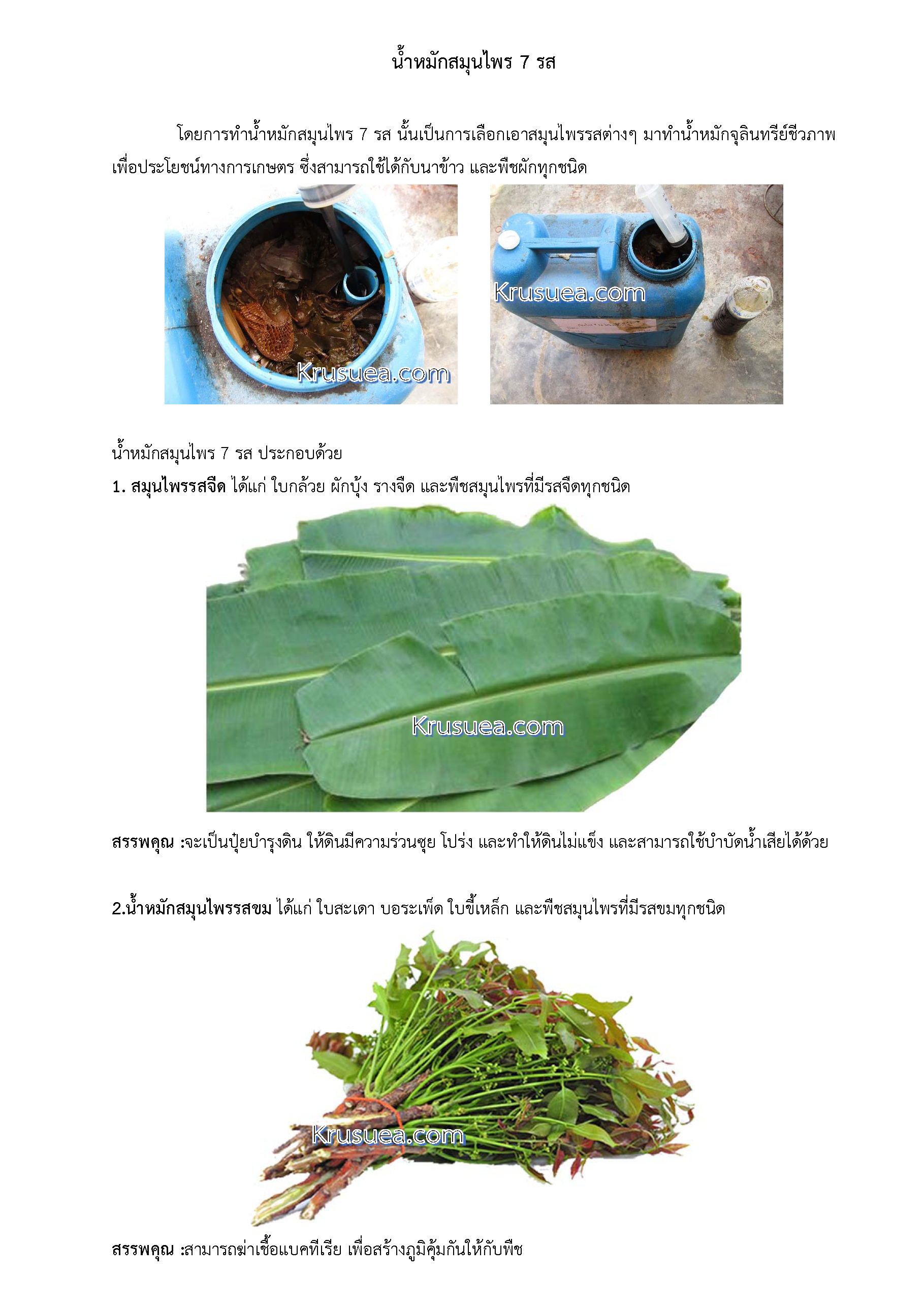 7 herbal fermented herbs Page 1